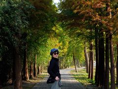 -溱湖国家湿地公园