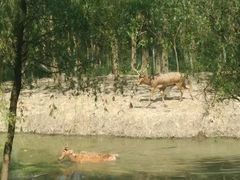 -溱湖国家湿地公园