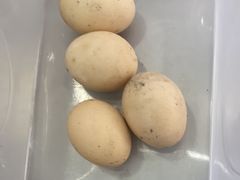 -丹水桥地锅鱼·翘嘴鲌·地方特色全鱼宴(丹江口大坝店)