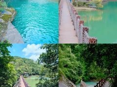 -广州白江湖森林公园