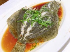 游水多宝鱼-稻香酒家(天河城店)