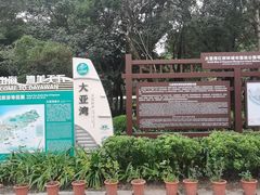-大亚湾红树林城市湿地公园