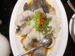 青花椒蒸龙胆鱼-闽和南(深圳万象城店)