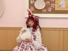 -猫猫幼稚园·撸猫·桌游·电玩
