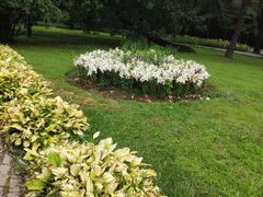-沈阳植物园
