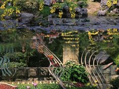 -杭州植物园
