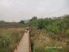 -淇河国家湿地公园