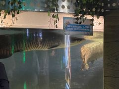 -洛阳龙门海洋馆