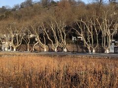 -北山街历史文化街区
