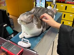 -谜盒子奇幻密室(南屏店)
