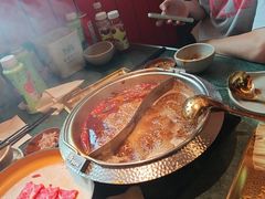 -牛New寿喜烧(金鹰世界店)