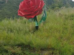 -密云玫瑰情园