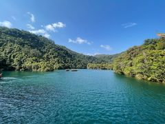 -鼎湖山风景区