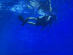 -烟台海昌鲸鲨海洋公园