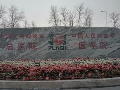 -中国人民解放军总医院(301医院)
