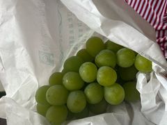 -马陆小张葡萄园农家乐