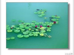 -苏州太湖国家湿地公园