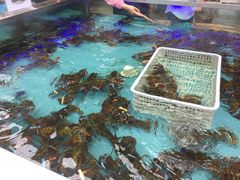 -盒马鲜生(宝地店)