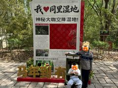 -同里国家湿地公园