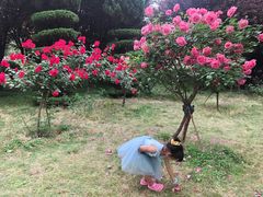 -洛阳市隋唐城遗址植物园