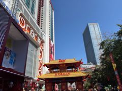 -越秀西湖花市(广州城市广场花卉店)