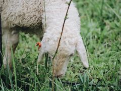 -扁都口生态休闲旅游区