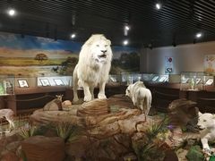 -陕西自然博物馆