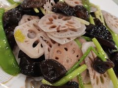 -姚林轩
