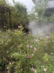 点击看大图 -安琪朵朵独栋花园月子中心