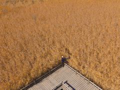 -野鸭湖国家湿地公园