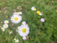 -同济大学(嘉定校区)