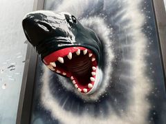 -海合安成都极地海洋公园