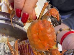 -加勒比阳光环球美食自助(凯德店)