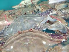 -港畔赶海蒸汽海鲜烧烤自助(仙螺岛店)
