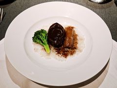 葱烧16头干鲍鱼配米饭-广舟(千禧店)