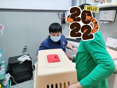 -伟伟宠物医院·瑞派猫友好医院·猫科(光谷店)