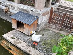 -苏州文庙(姑苏区)