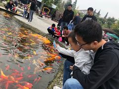 -成飞公园