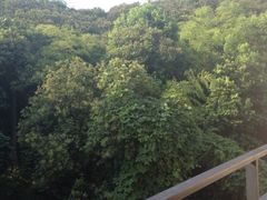 山景双床房阳台外-天目湖涵田度假村