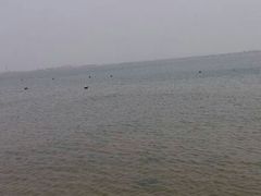 -东戴河风景区-止锚湾