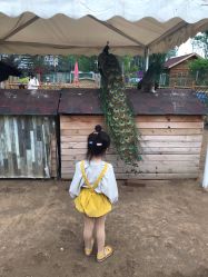 -萌宠亲子动物乐园(槐房万达店)