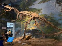 -自贡恐龙博物馆