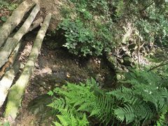 -紫金山索道-售票处