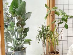 -COTTON CAFE(德信·中外公寓店)