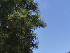 -秦始皇帝陵博物院-丽山园