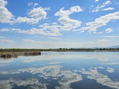 -野鸭湖国家湿地公园