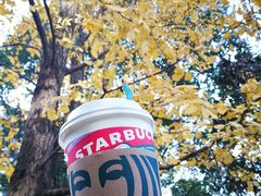 -星巴克(漕河泾2店)