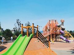 -枫香湖儿童公园