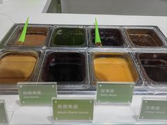 -Salud撒露欧洲冻酸奶(北苑上品店)