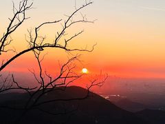 -朝郡酒家·粤菜(燕大星苑店)